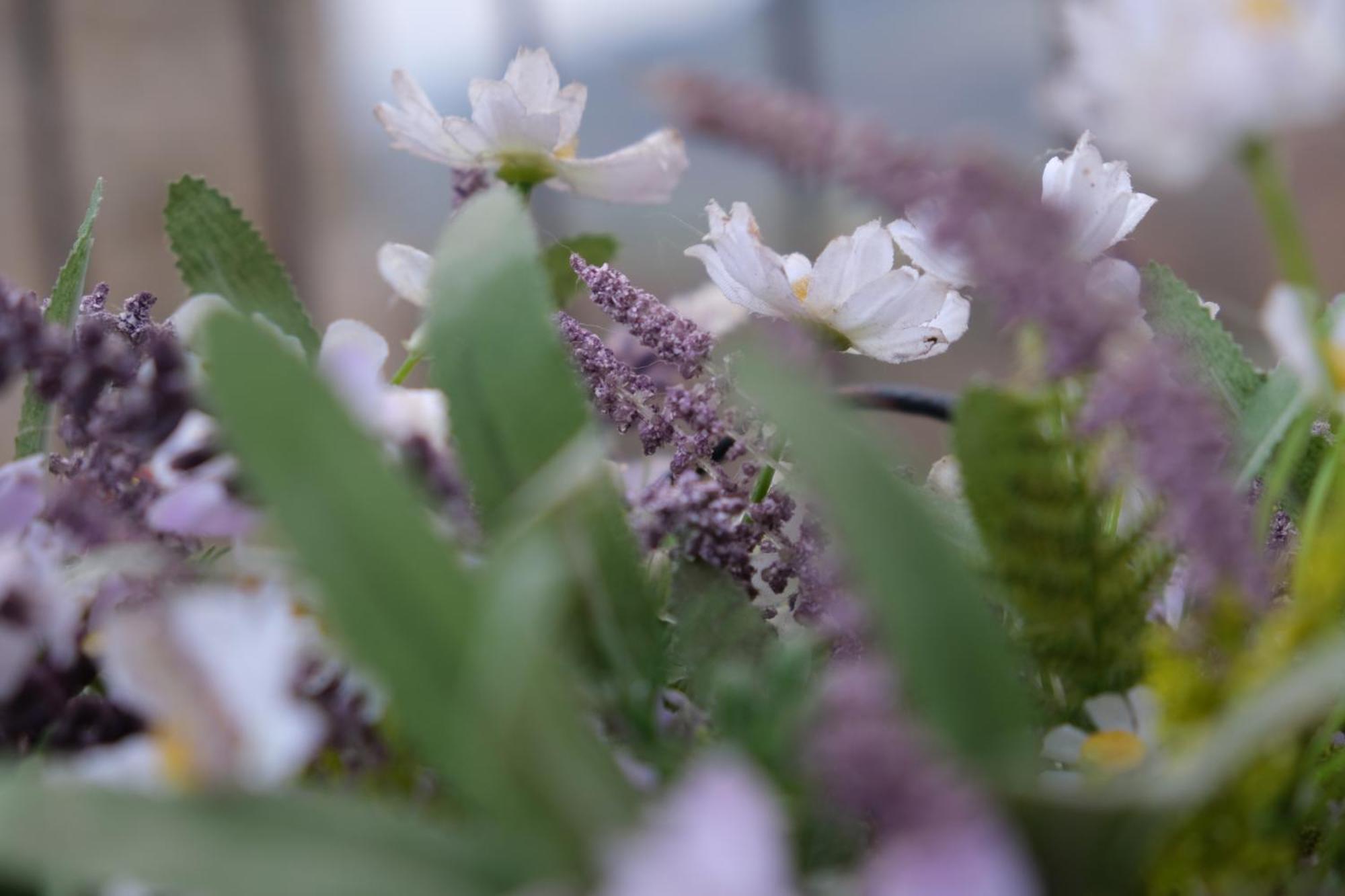 Appartamento Joy'S Nest Todi Esterno foto
